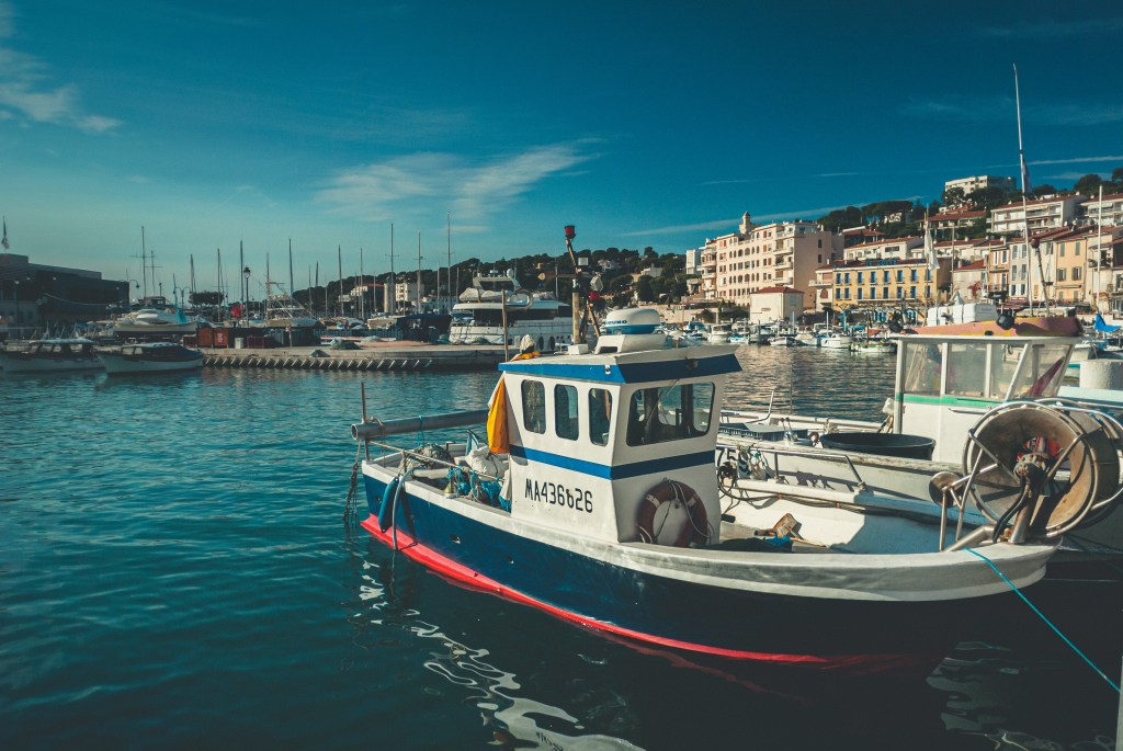 egor myznik XRLjTOoTzz0 unsplash