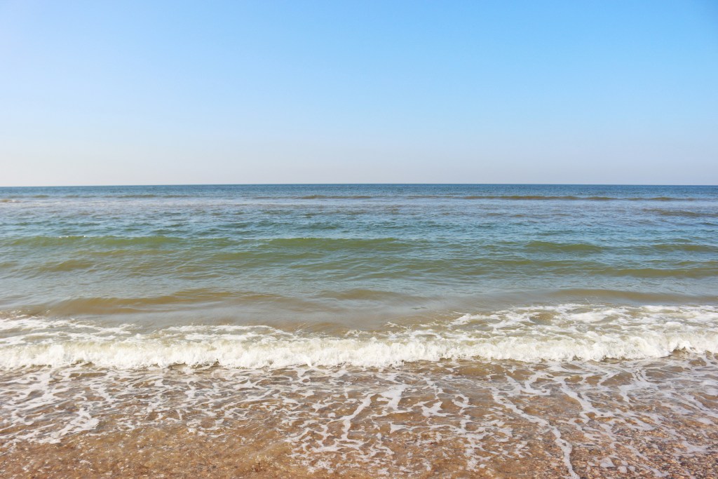 玛格丽特·波林德 9oKQJv8GK 0 unsplash