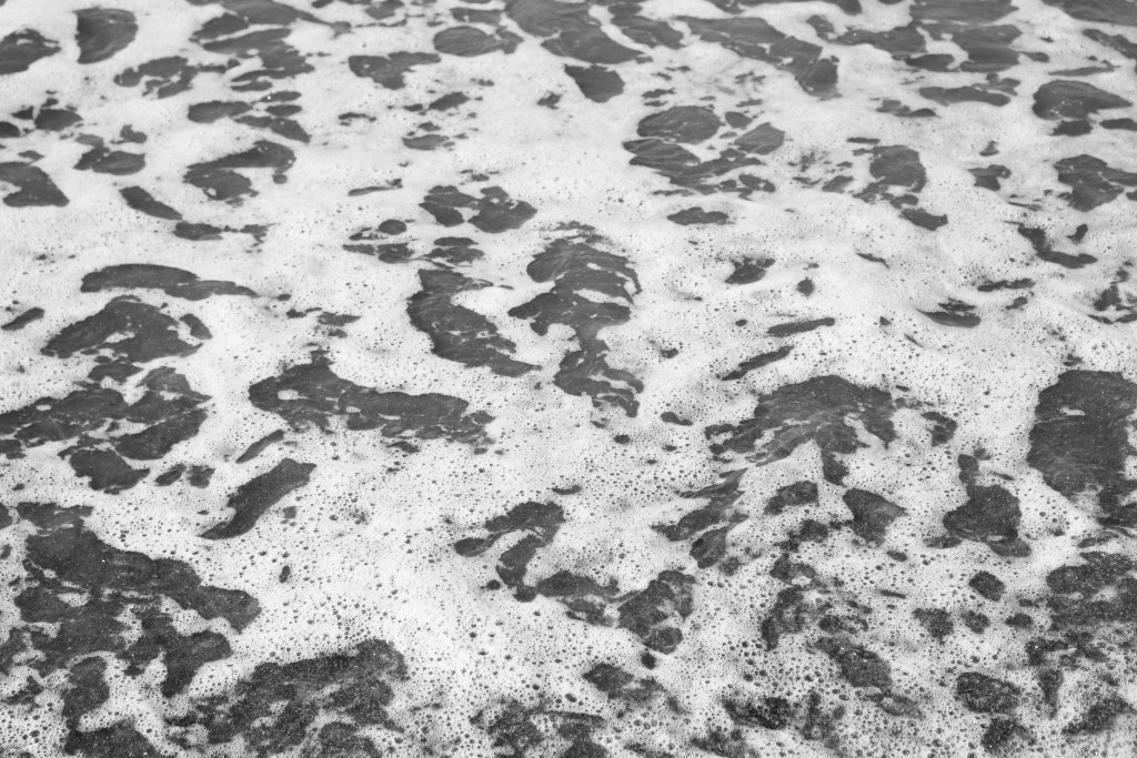 玛格丽特·波林德 BDn SNxdgpM unsplash